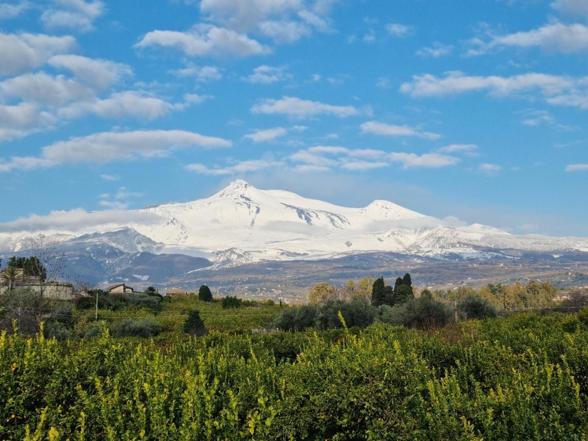 Luxury Historic Residence With Heated Pool Near Catania, Taormina, The Sea And Mount Etna Giarre Kültér fotó